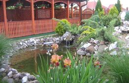 HOTEL / RESTAURANT YVETTE, de vanzare, 35 ari teren, zona Aurel Vlaicu