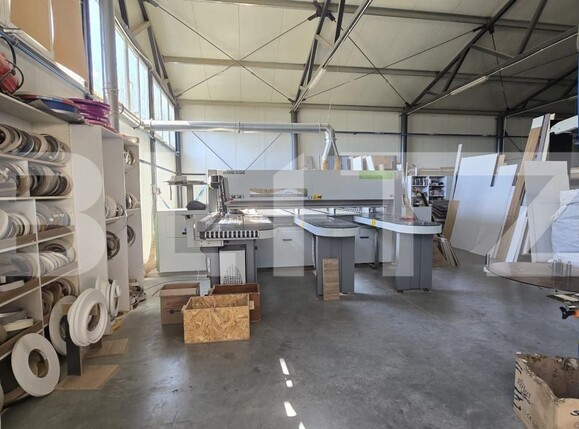 Spațiu industrial de vânzare Unio - 174904SVI | BLITZ Satu Mare | Poza9