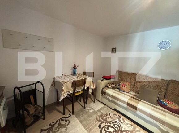 Casa de vânzare 5 camere Sud - 174914CV | BLITZ Satu Mare | Poza16