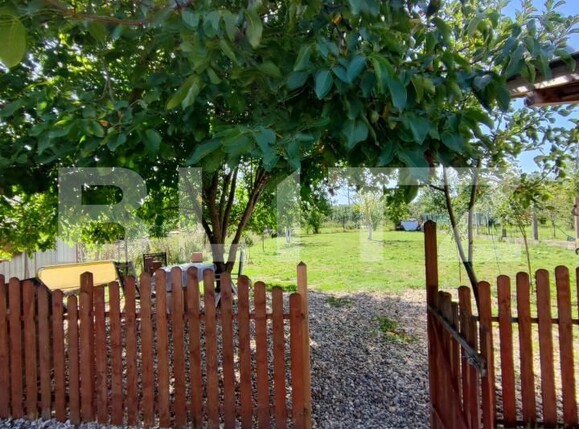 Casa de vânzare 5 camere Sud - 174914CV | BLITZ Satu Mare | Poza21