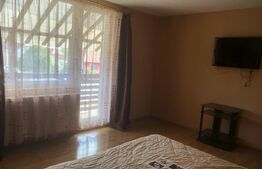 De vânzare , casa cu teren intravilan 3000mp , zona Ciuperceni