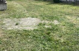 De vânzare , casa cu teren intravilan 3000mp , zona Ciuperceni