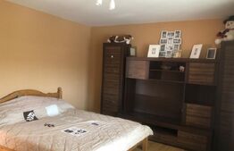 De vânzare , casa cu teren intravilan 3000mp , zona Ciuperceni