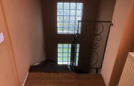 De vânzare , casa cu teren intravilan 3000mp , zona Ciuperceni