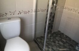 De vânzare , casa cu teren intravilan 3000mp , zona Ciuperceni