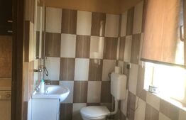 De vânzare , casa cu teren intravilan 3000mp , zona Ciuperceni