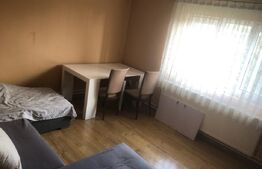 De vânzare , casa cu teren intravilan 3000mp , zona Ciuperceni