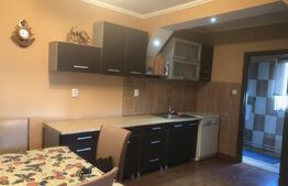 De vânzare , casa cu teren intravilan 3000mp , zona Ciuperceni