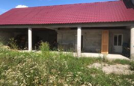 De vânzare , casa cu teren intravilan 3000mp , zona Ciuperceni