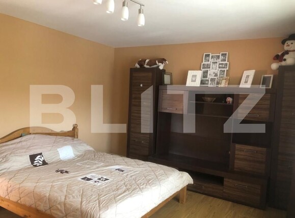 Casa de vânzare 5 camere Ciuperceni - 174959CV | BLITZ Satu Mare | Poza12