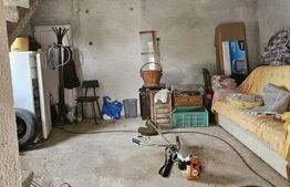 Casă de vanzare, 37 mp utili/nivel, teren 500 mp, zona Bercu Roșu