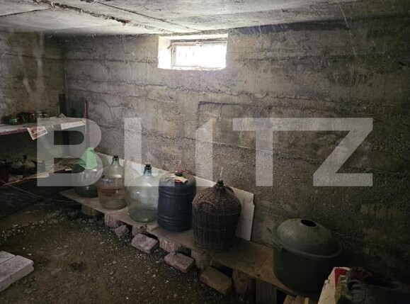 Casa de vânzare 2 camere Bercu Rosu - 175204CV | BLITZ Satu Mare | Poza7