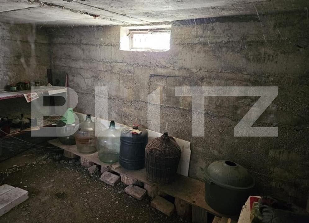 Casa de vânzare 2 camere Bercu Rosu - 175204CV | BLITZ Satu Mare | Poza7