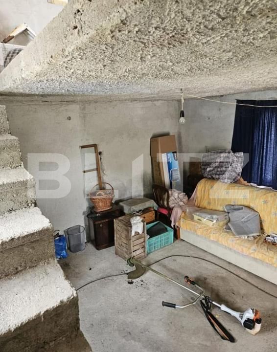 Casa de vânzare 2 camere Bercu Rosu - 175204CV | BLITZ Satu Mare | Poza4