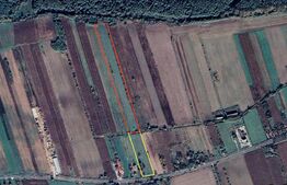 Teren de vânzare Botizului - 182925TV | BLITZ Satu Mare | Poza4