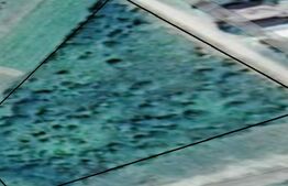 Teren intravilan 7200 mp Ardud