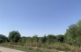 Teren intravilan 7200 mp Ardud