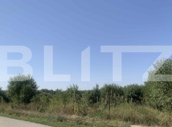 Teren de vânzare Exterior Est - 175446TV | BLITZ Satu Mare | Poza2