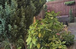 Casa de vanzare, cu 4 camere, 140 mp, teren 300 mp, zona Dara