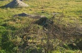 Teren de vânzare – 10 ari, intravilan, Satu Mare, str. Gorunului (spre Aquastar)