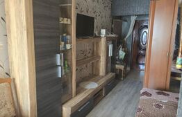 Apartament de vanzare, cu 1 camera, 22 mp, zona Soarelui