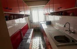 Apartament 53 mp – zona Careiului, Satu Mare