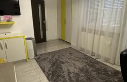 Apartament ultracentral, 103 mp utili, cu garaj si curte