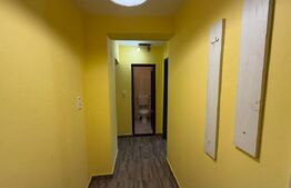 Apartament de vânzare – 1 camera, parter, 36 mp • Piața Someș