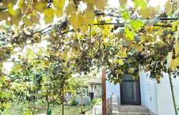 Casa 3 camere 92 mp, 338 mp de teren