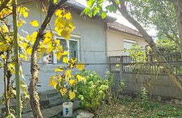 Casa 3 camere 92 mp, 338 mp de teren