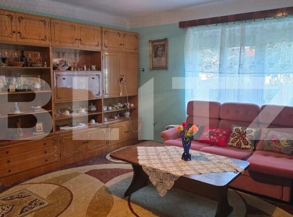Casa de vânzare 3 camere Nord - 175982CV | BLITZ Satu Mare | Poza1
