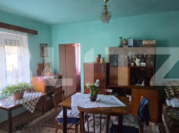 Casa de vânzare 3 camere Nord - 175982CV | BLITZ Satu Mare | Poza3