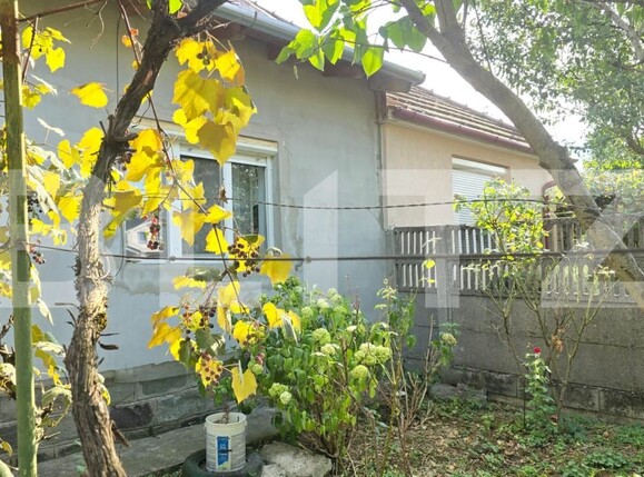 Casa de vânzare 3 camere Nord - 175982CV | BLITZ Satu Mare | Poza9