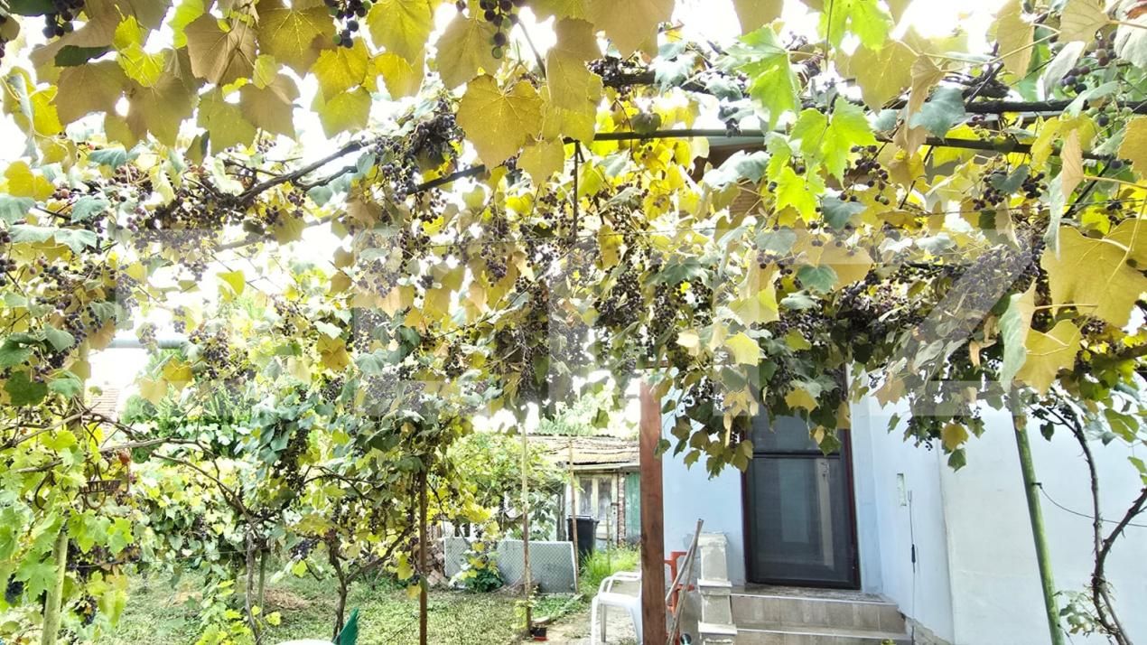 Casa de vânzare 3 camere Nord - 175982CV | BLITZ Satu Mare | Poza10