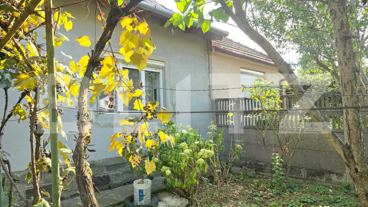 Casa de vânzare 3 camere Nord - 175982CV | BLITZ Satu Mare | Poza9