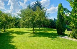 Casa rezidential-comercială în zona Străzii Cloșca, 420 mp, 1.000 mp teren