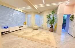 Casa rezidential-comercială în zona Străzii Cloșca, 420 mp, 1.000 mp teren