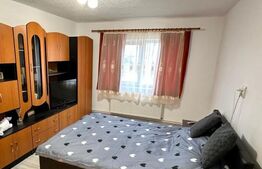 Garsoniera etaj 3 - Ion Ghica