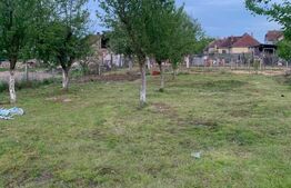 Teren intravilan 1500mp , zona Cionchesti
