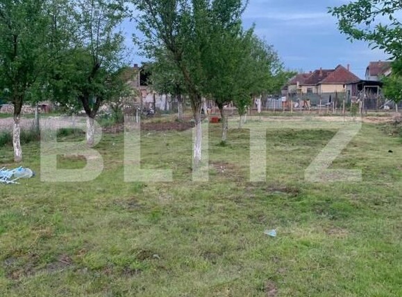 Teren de vânzare Cionchesti - 176478TV | BLITZ Satu Mare | Poza1