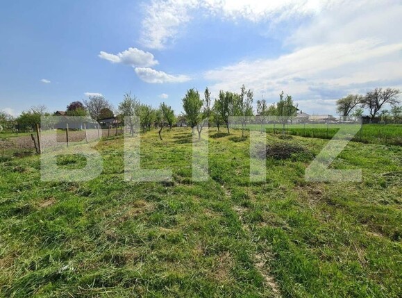 Teren de vânzare Cionchesti - 176478TV | BLITZ Satu Mare | Poza9
