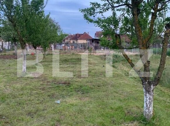 Teren de vânzare Cionchesti - 176478TV | BLITZ Satu Mare | Poza2
