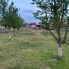Teren de vânzare Cionchesti - 176478TV - Poza 1 din 10 | BLITZ Satu Mare | Poza7