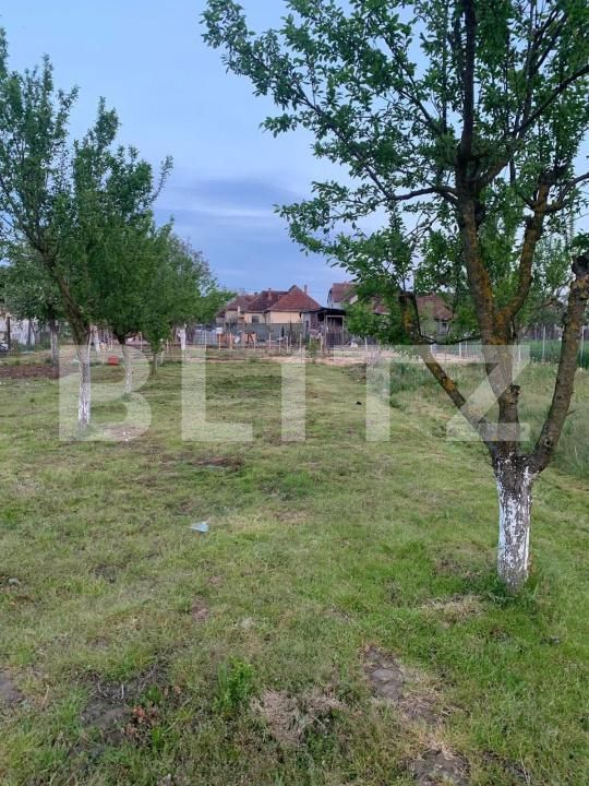 Teren de vânzare Cionchesti - 176478TV | BLITZ Satu Mare | Poza8