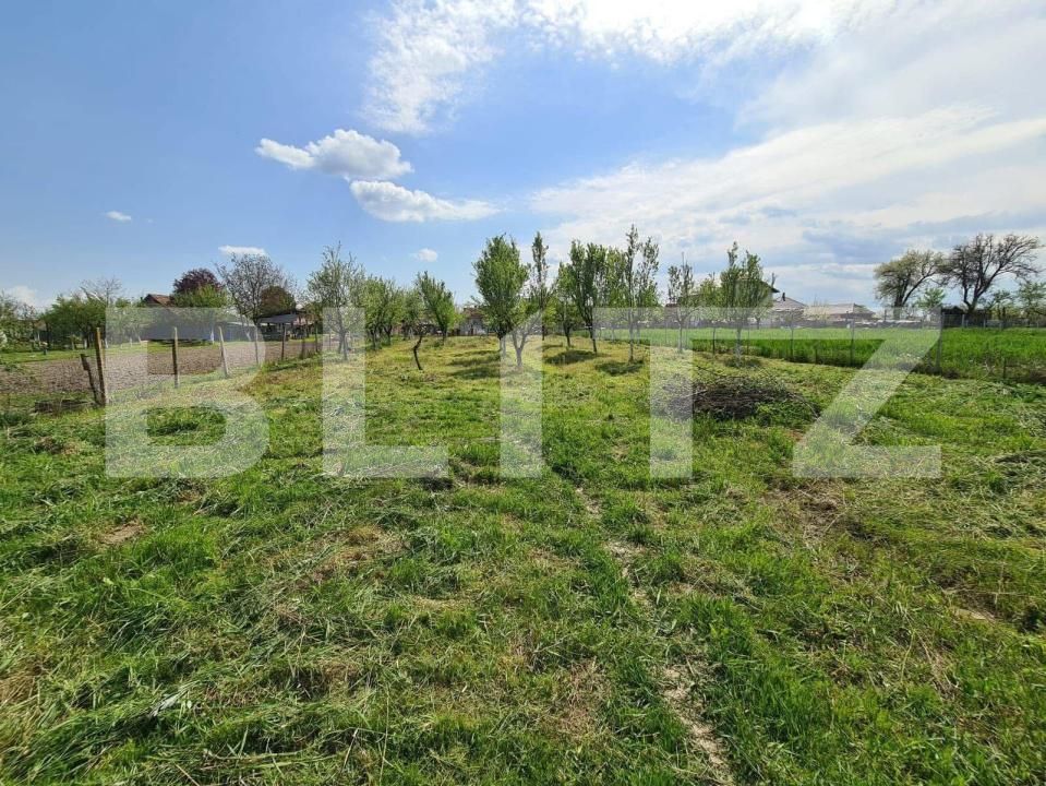 Teren de vânzare Cionchesti - 176478TV | BLITZ Satu Mare | Poza3