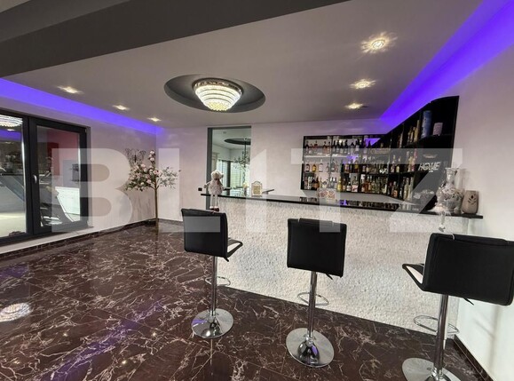 Casa de vânzare 5 camere Viile Satu Mare - 176487CV | BLITZ Satu Mare | Poza7