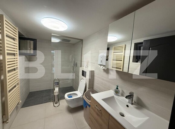 Casa de vânzare 5 camere Viile Satu Mare - 176487CV | BLITZ Satu Mare | Poza18