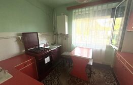 Apartament de vanzare, cu 2 camere, 50 mp, zona Drumul Botizului 