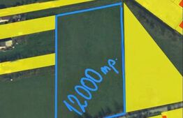 Teren extravilan 12000mp. Periferie Sud