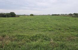 Teren extravilan 12000mp. Periferie Sud